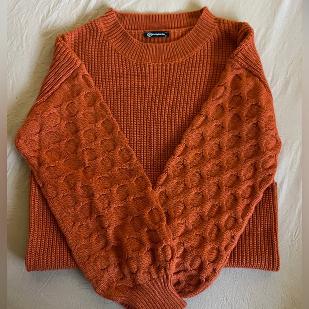 Burnt Orange Sweater